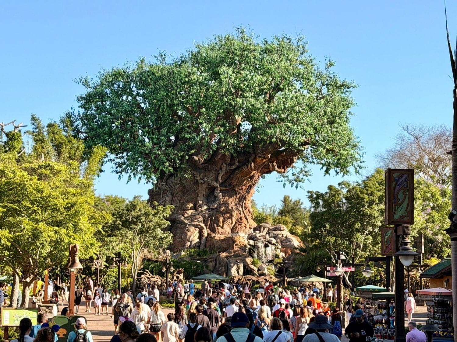The Tree of Life at Disney's Animal Kingdom, with the crowds of the park in front of it